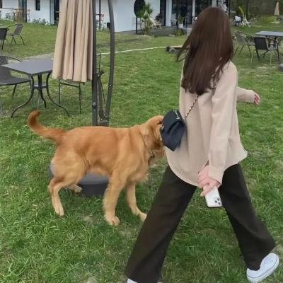 魔鬼孩儿